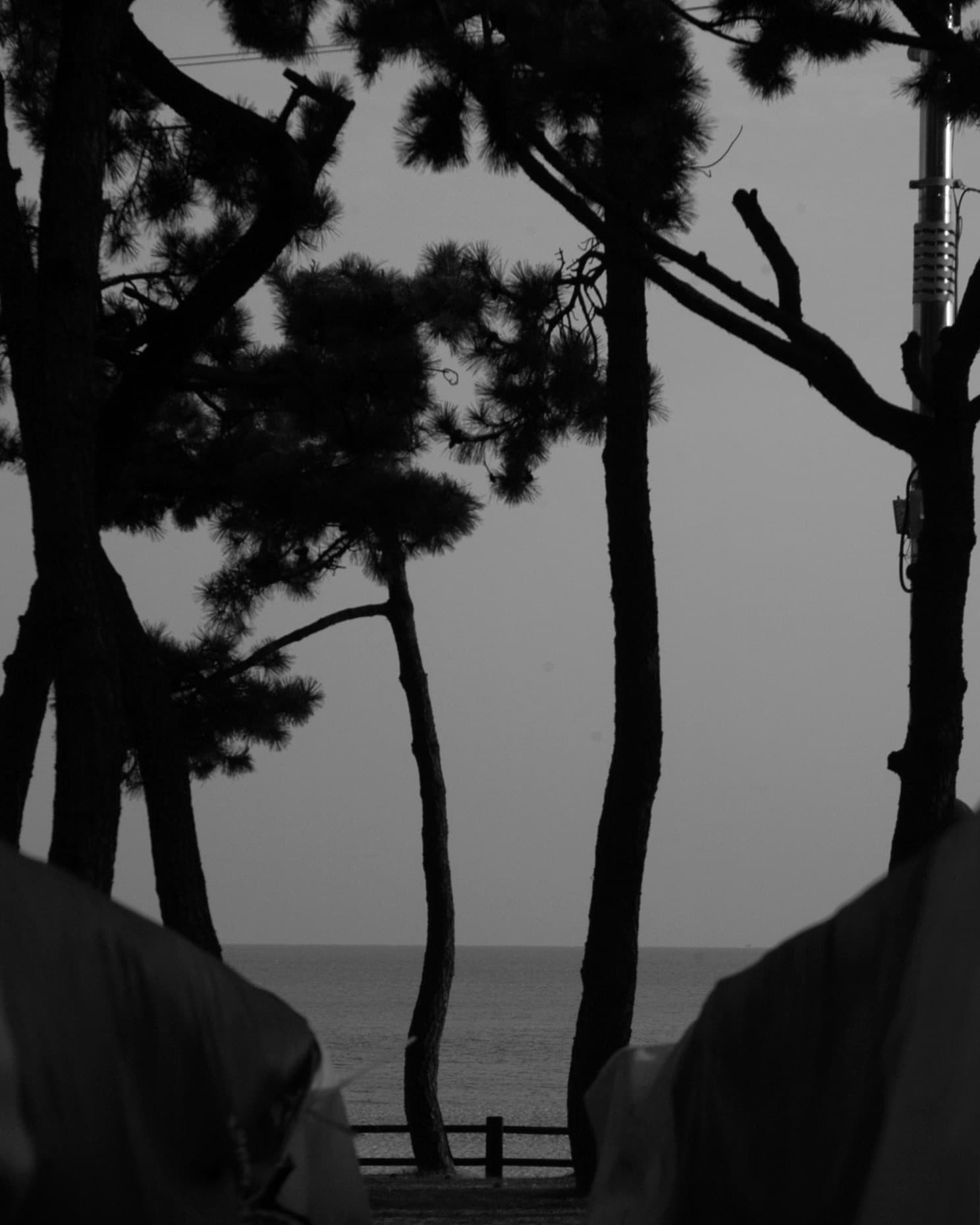 black photo